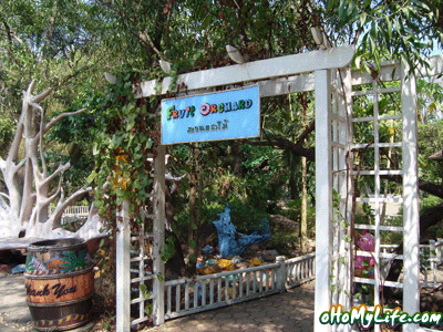 ǹ Fruit Orchard