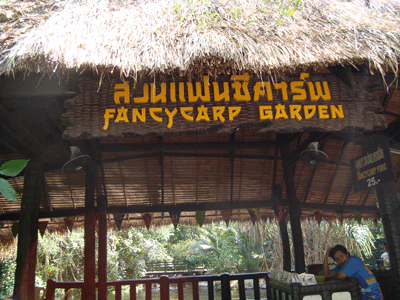 ǹΌդ Fancy Crap Garden