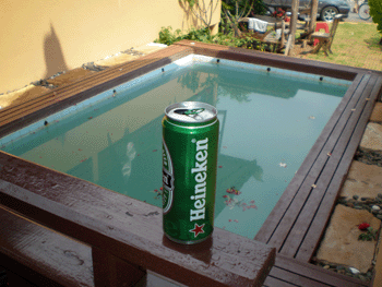 Heineken